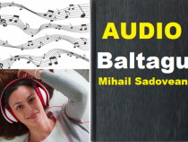 Carte Audio – Baltagul de Mihail Sadoveanu (MP3)