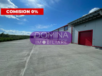 Hală industrială, situată în Târgu Jiu, str. Narciselor