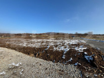 Teren intravilan de vanzare, 500 mp, zona Leoni