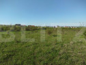Teren 1000 mp, Buna Ziua, cu PUZ spre finalizare