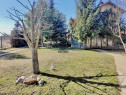 Casa de vanzare in Targoviste - 5 camere, 2 garaje, teren...