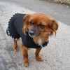 Dimitry